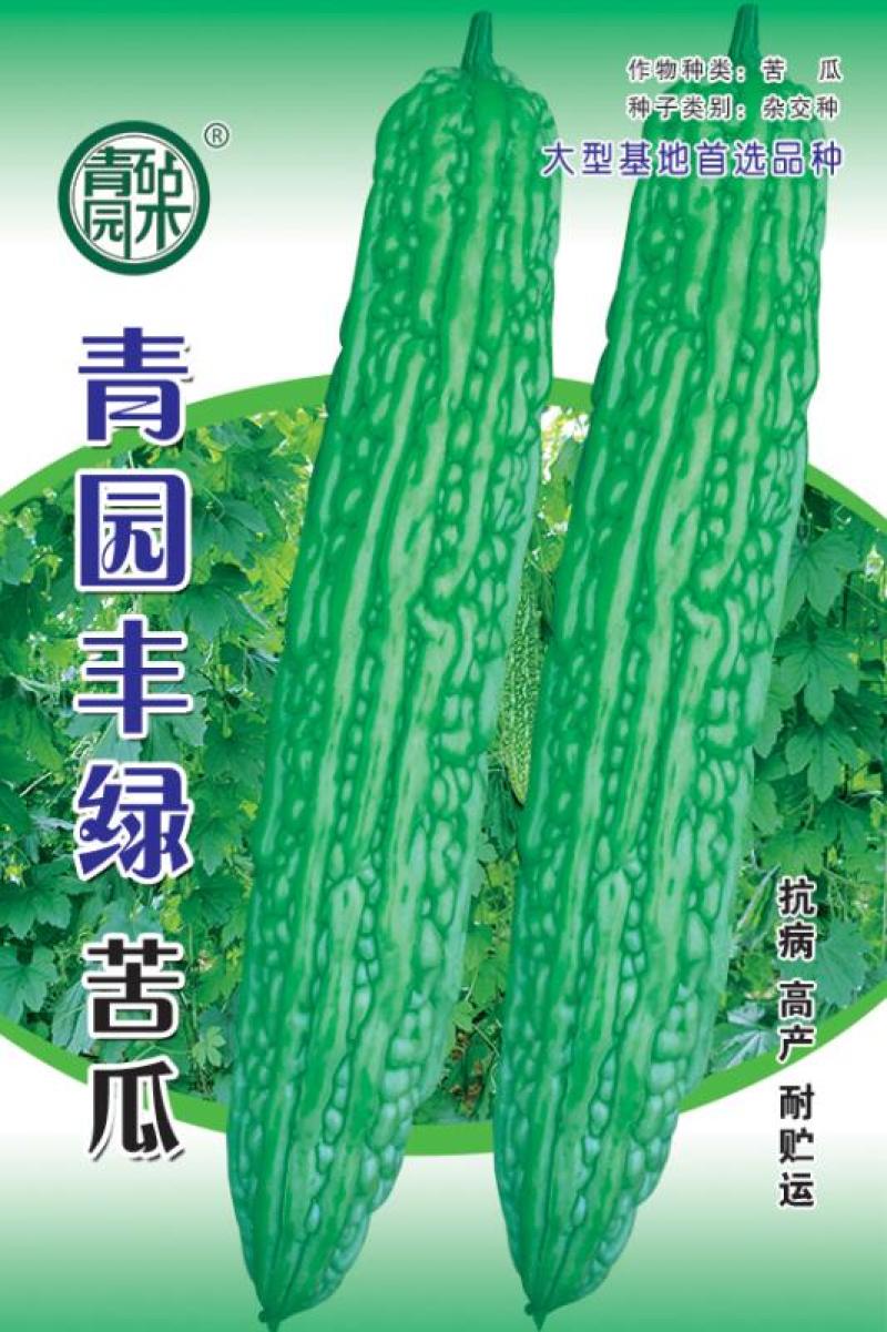 苦瓜种子杂交苦瓜种子翠绿苦瓜种子抗病能力强肉厚味正大棚陆