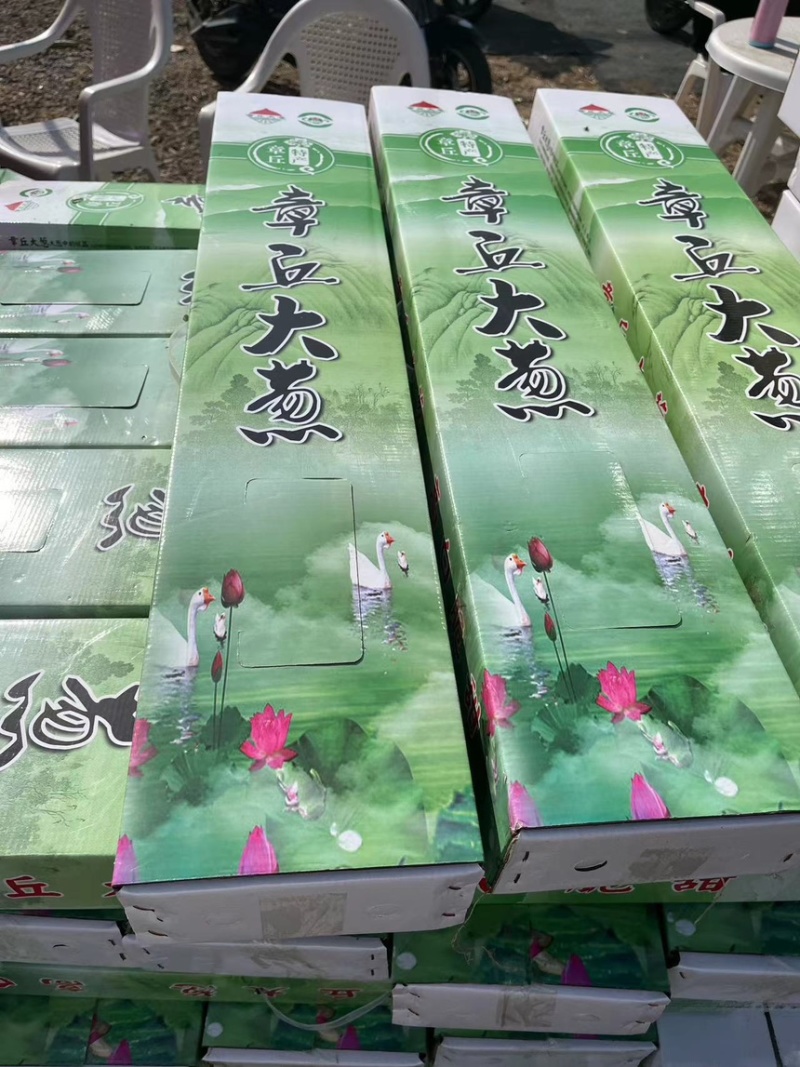 大葱章丘大葱高白脆甜礼盒装规格齐全现挖现发一手货源