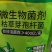 枯草芽孢杆菌2斤生根壮苗抗重茬防病害微生物菌剂肥料