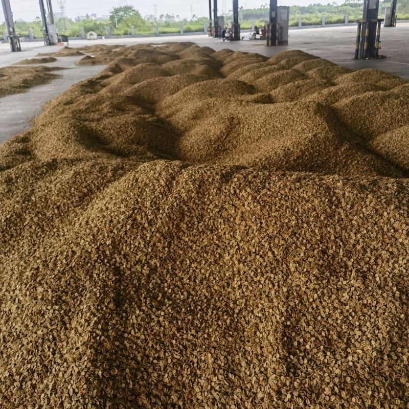 罗汉果仁，散料，干粉料