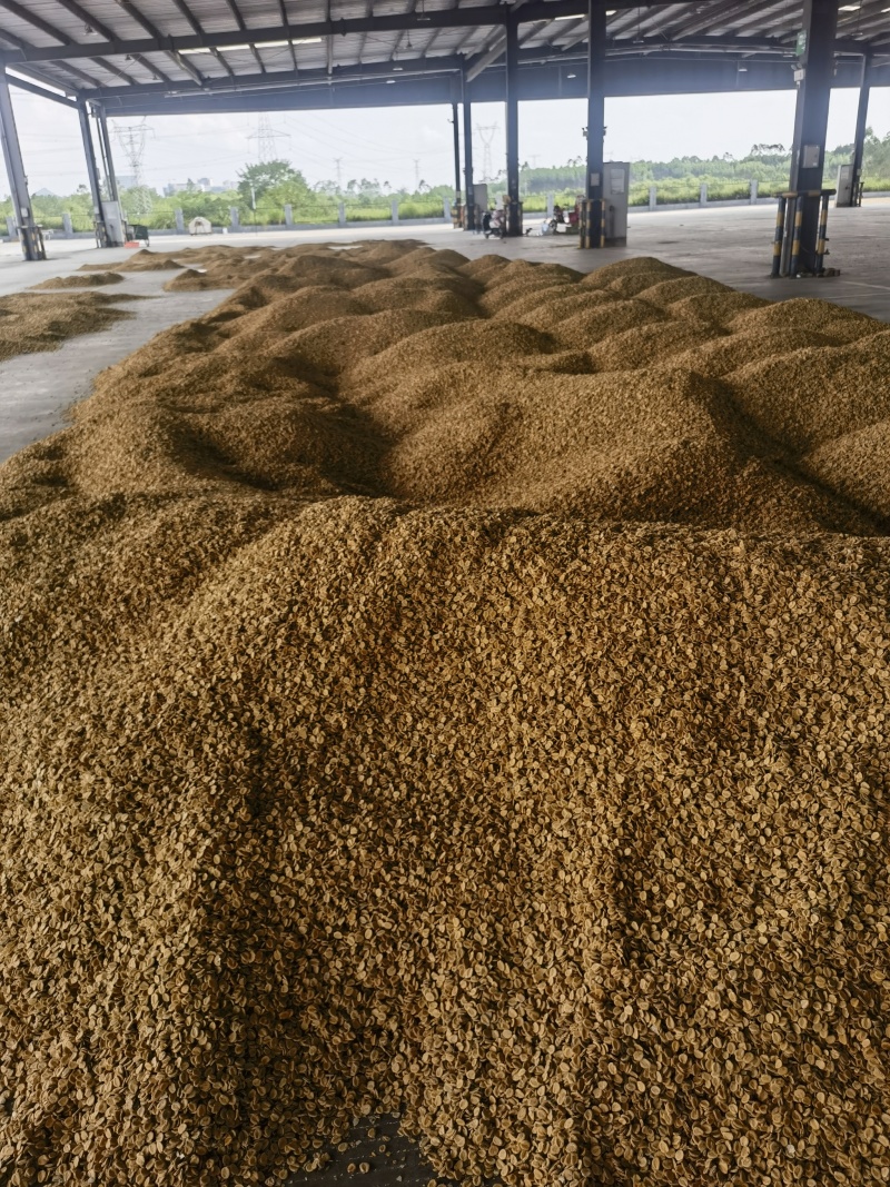 罗汉果仁，散料，干粉料