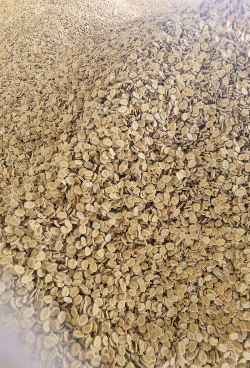 罗汉果仁，散料，干粉料