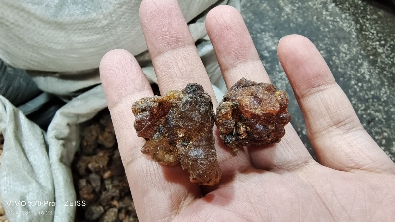 没药散装干货各种规格2斤起包邮