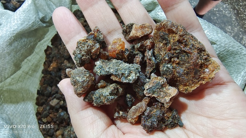 没药散装干货各种规格2斤起包邮
