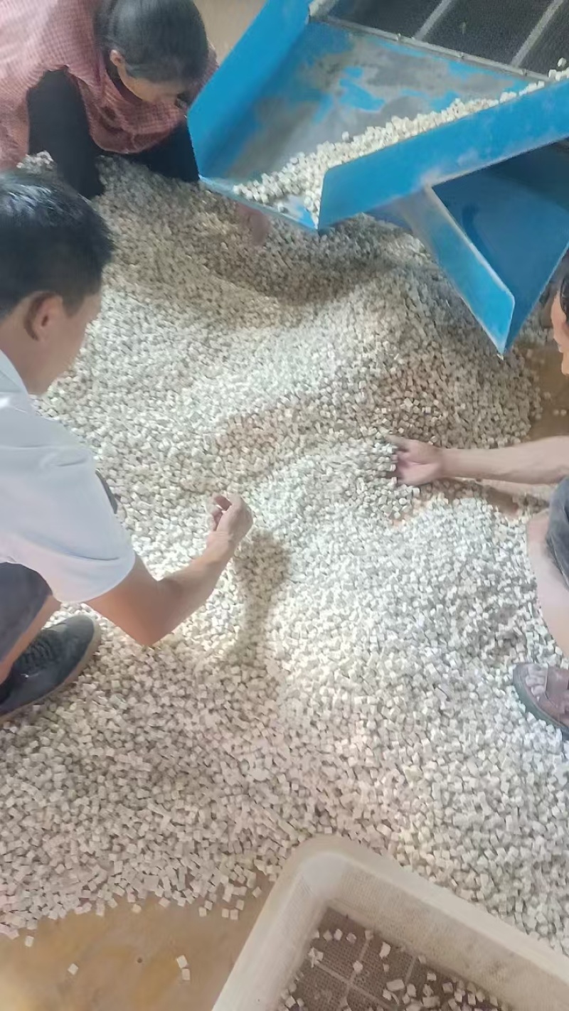 云南深山松树茯芩各种茯芩规格都有量大从优