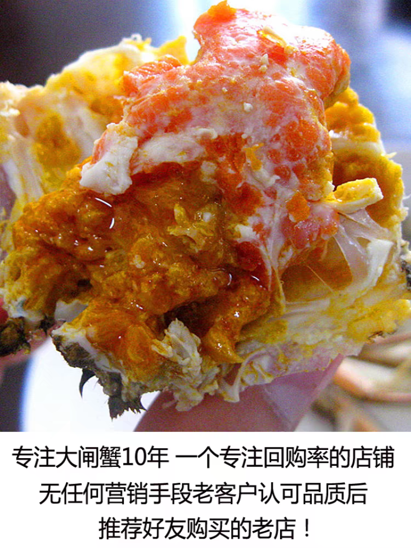 【推荐】大闸蟹一件代发、供应各大水产批发市场，海鲜零售店
