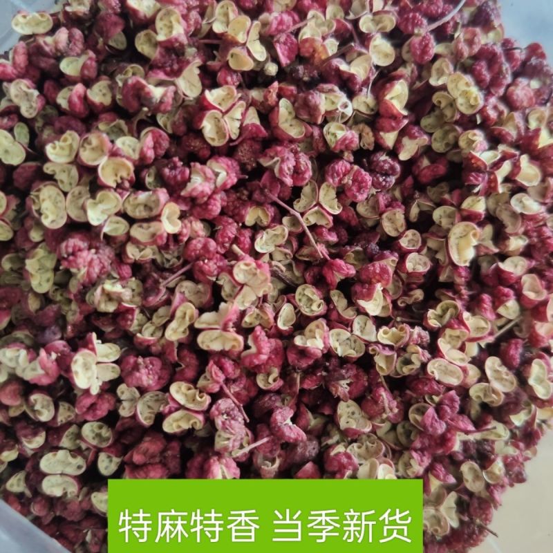 甘肃武都无籽大红袍新鲜粒干红500