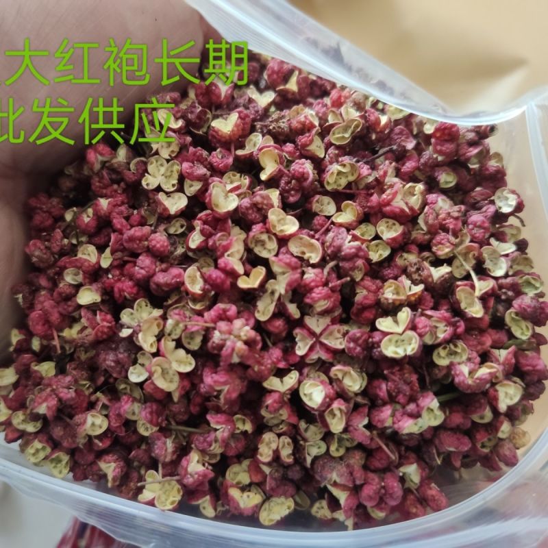 甘肃武都无籽大红袍新鲜粒干红500