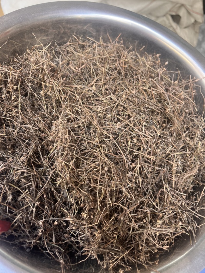 白花蛇舌草白花蛇舌草切段筛粉
