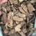 勒茨菇簕茨菇一公斤起发勒茨菇足干