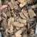 勒茨菇簕茨菇一公斤起发勒茨菇足干