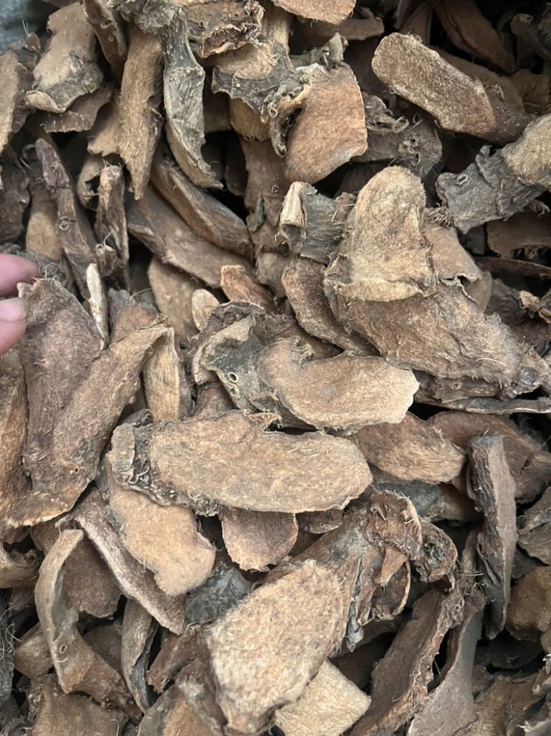 勒茨菇簕茨菇一公斤起发勒茨菇足干