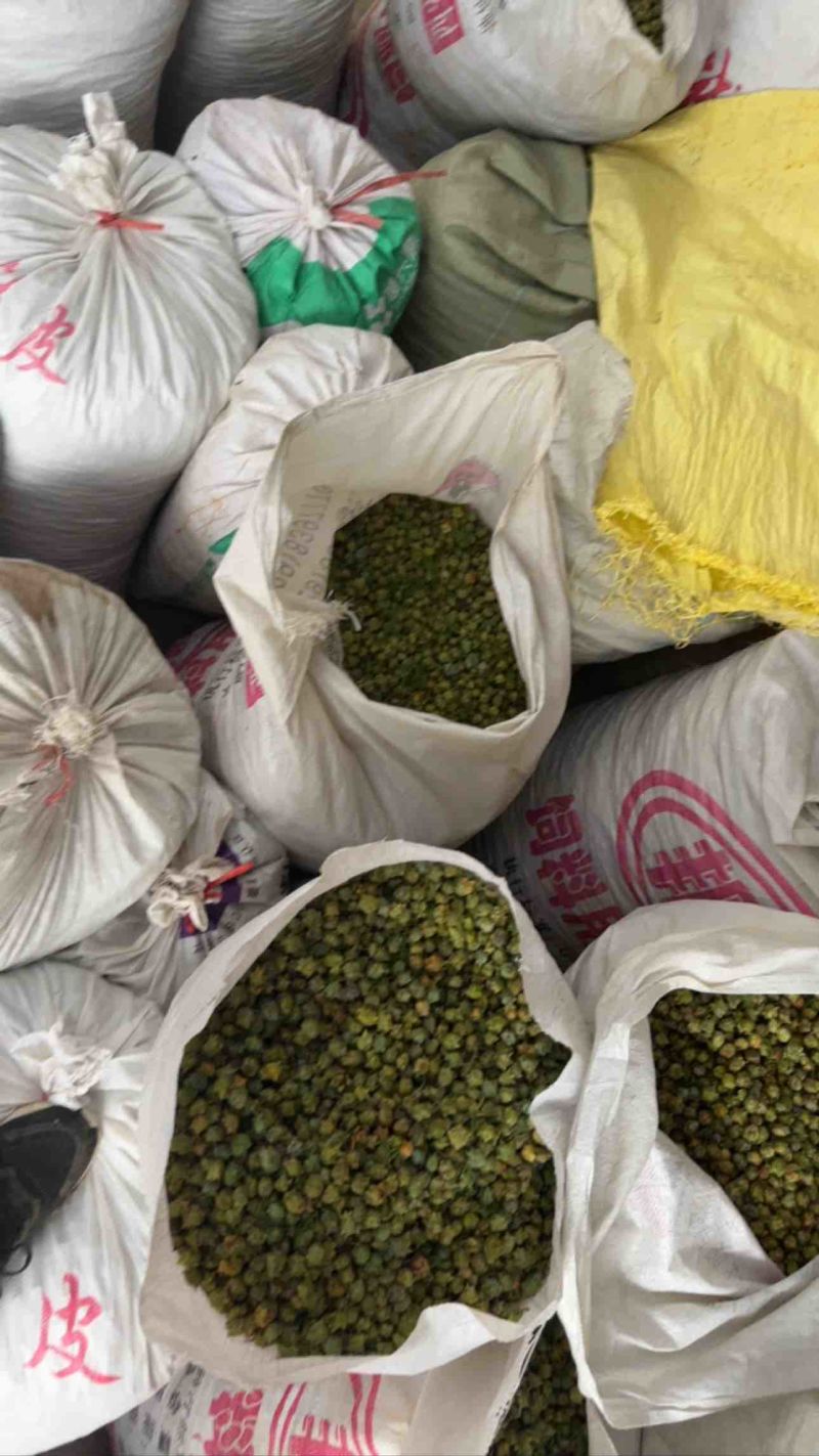 柏树果大量上市，可现场看货