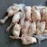 三黄鸡