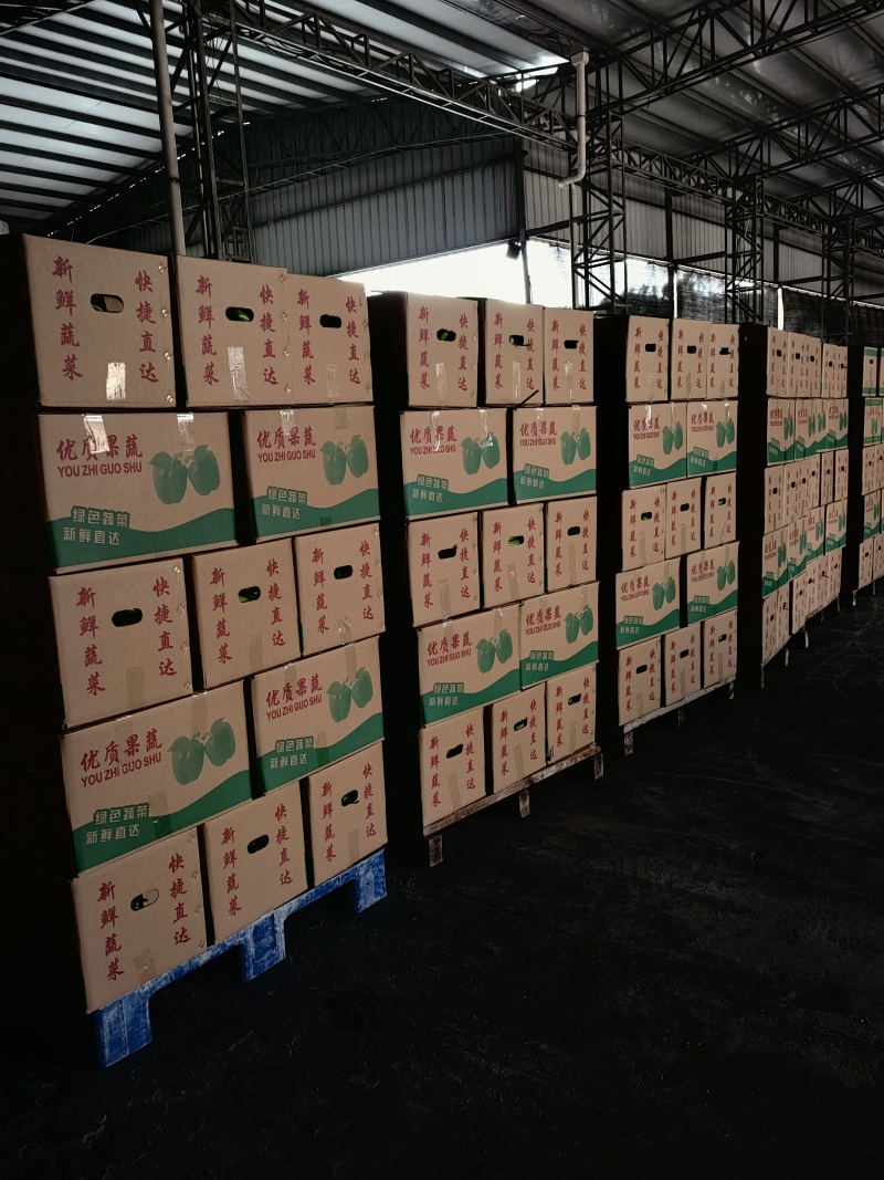 福建漳州黄皮尖椒螺丝椒场地代办