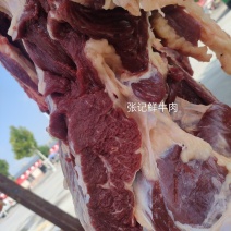 纯干鲜牛肉吊宰鲜牛肉批发