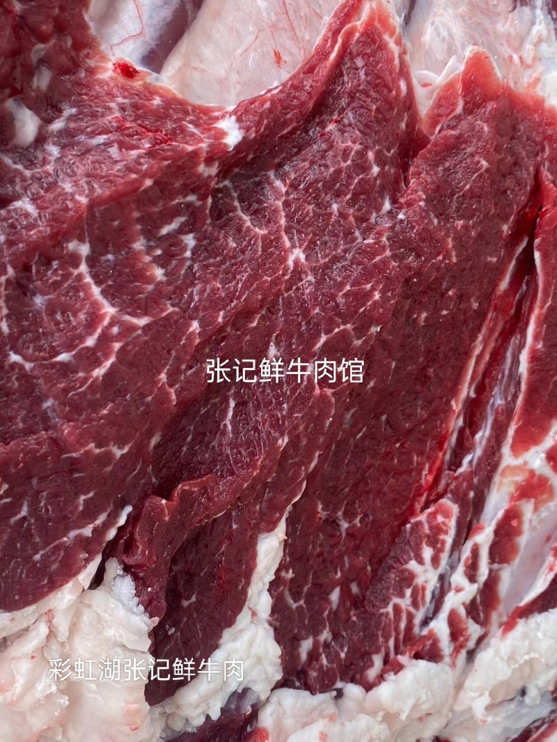 纯干鲜牛肉吊宰鲜牛肉批发