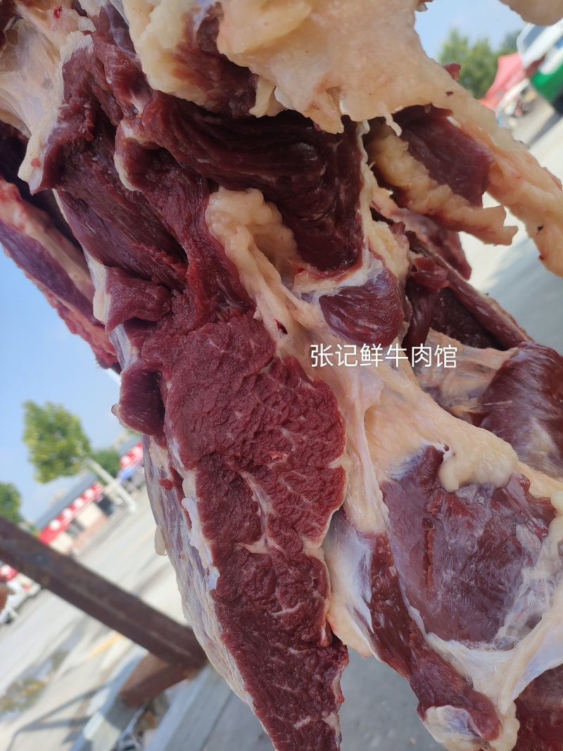 纯干鲜牛肉吊宰鲜牛肉批发