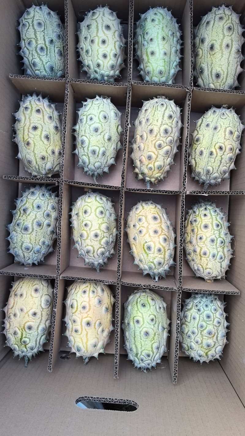 火参果