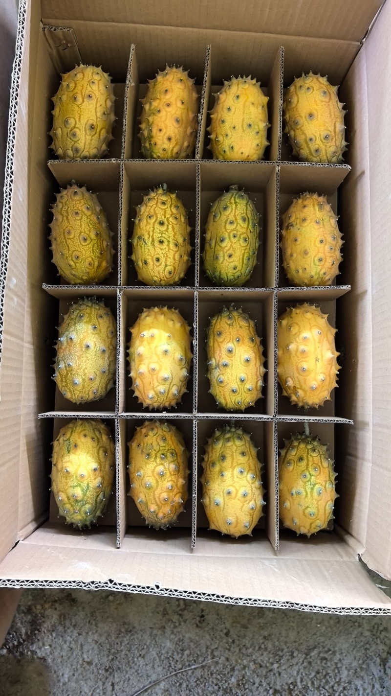 火参果