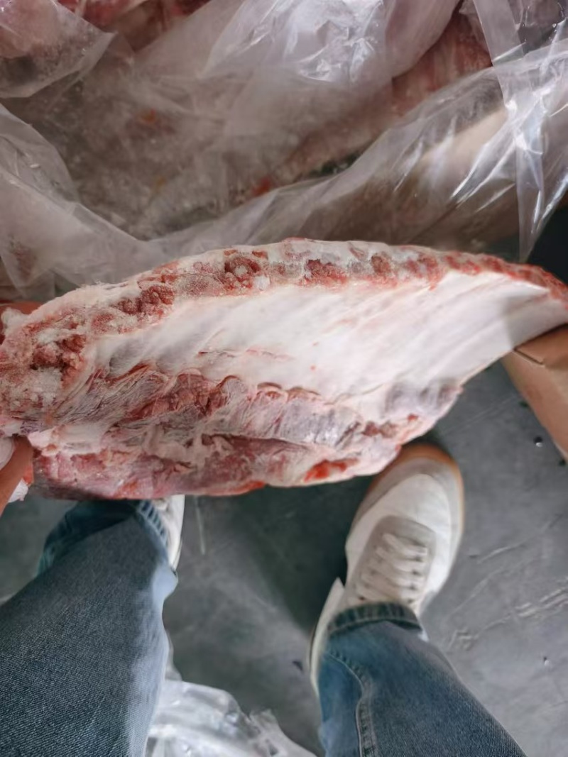 母猪肋排32000一吨