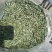 节节草全野生可视频看货欢迎老板们下单选购