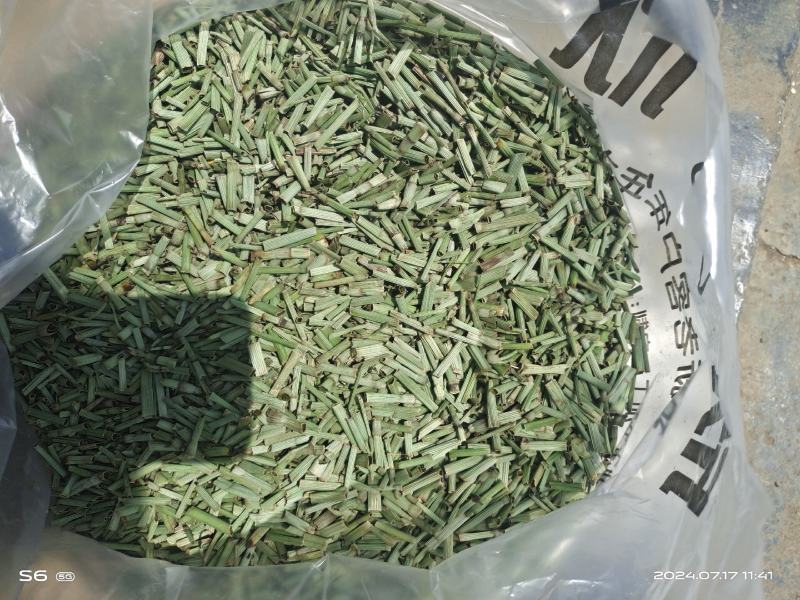节节草全野生可视频看货欢迎老板们下单选购
