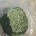 节节草全野生可视频看货欢迎老板们下单选购