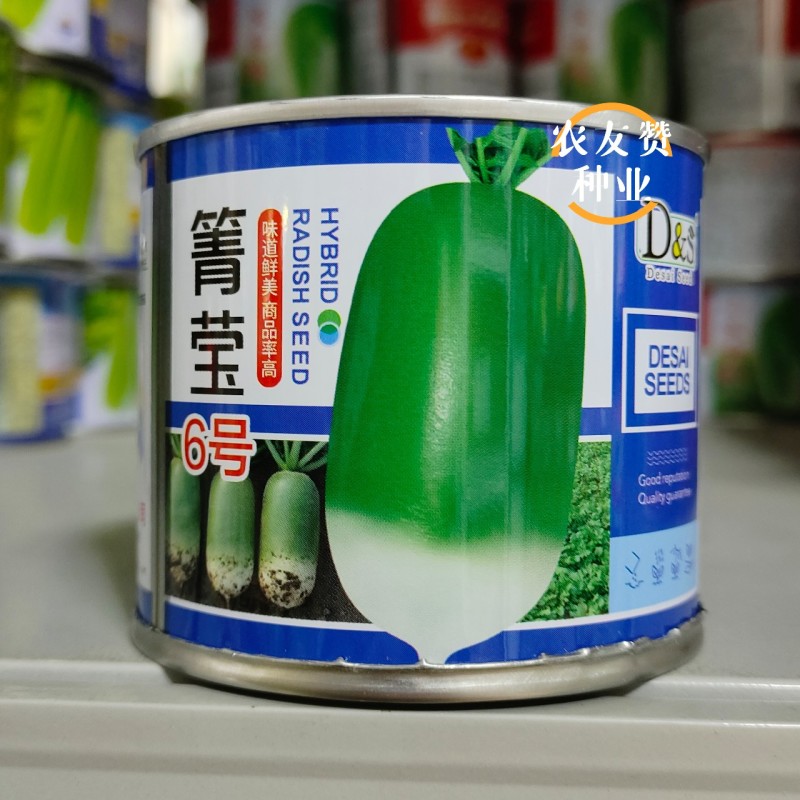 西北热销青萝卜种子箐莹6号三系杂交萝卜新品种脆爽青皮萝卜