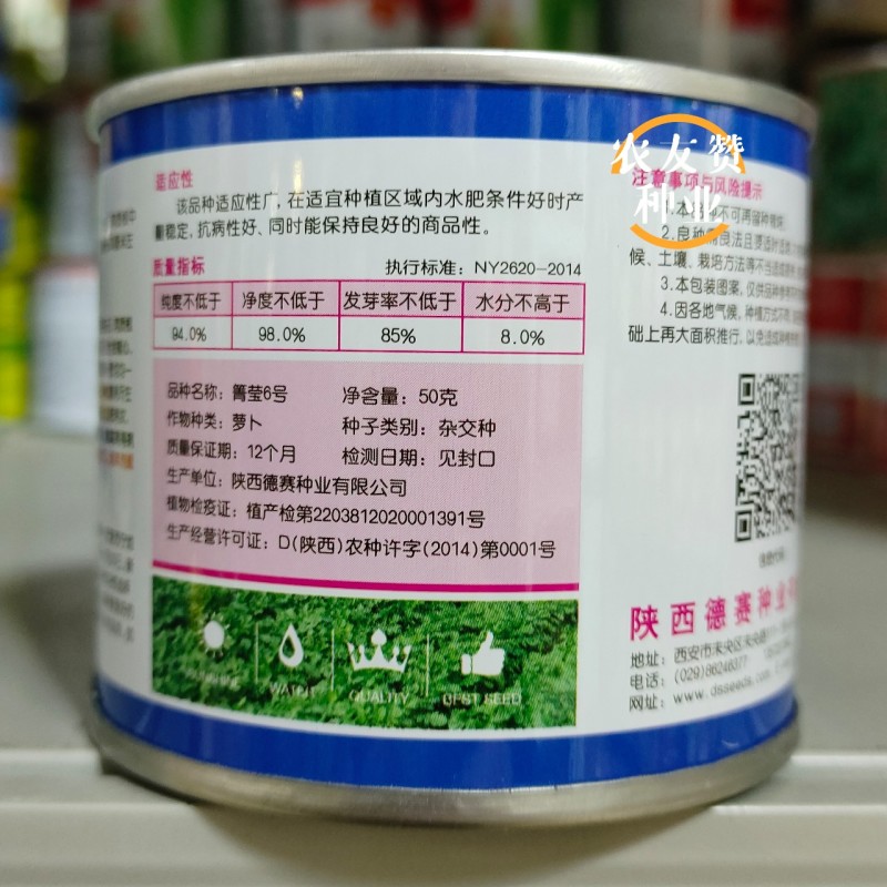 西北热销青萝卜种子箐莹6号三系杂交萝卜新品种脆爽青皮萝卜