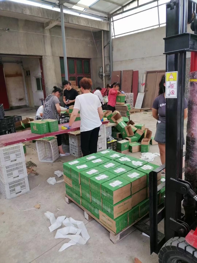 猕猴桃，支持一件代发，支持个大平台，社区团购，精品包装