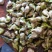 老菱角新鲜菱角嫩菱角产地直批个头饱满口感很好