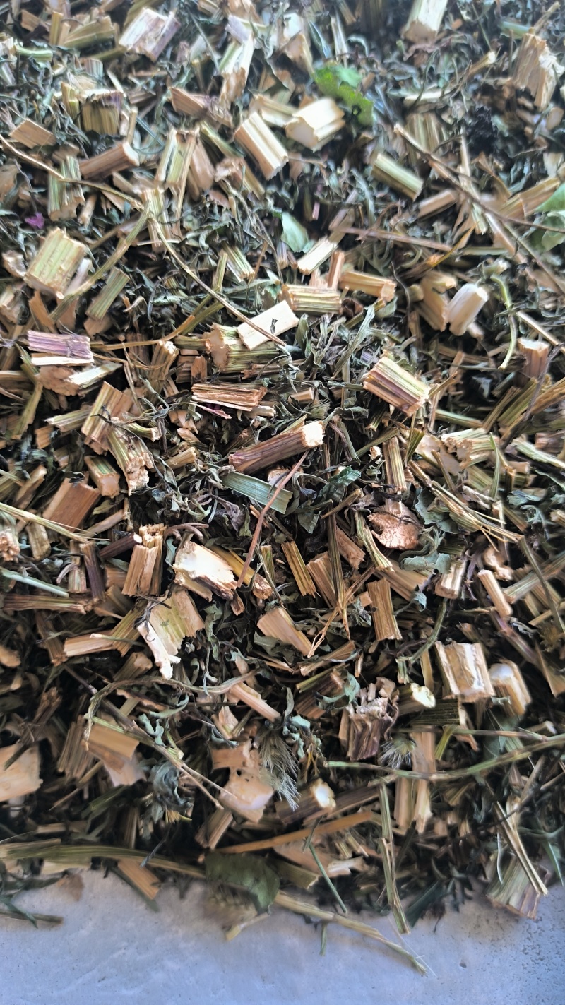 鬼针草野生鬼针草中药材批发鬼针草质量保证量大从优