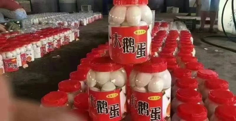 大鹅蛋