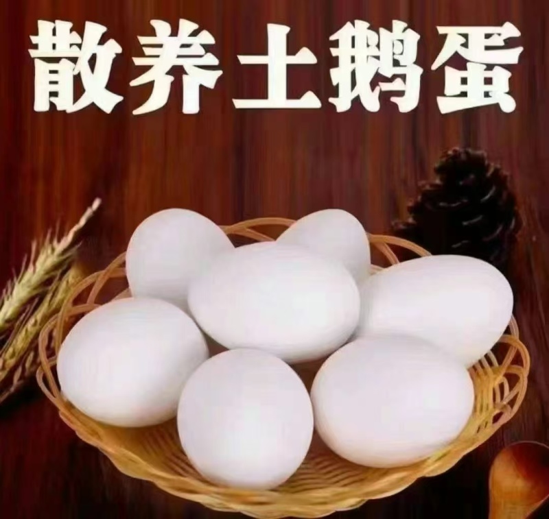 大鹅蛋
