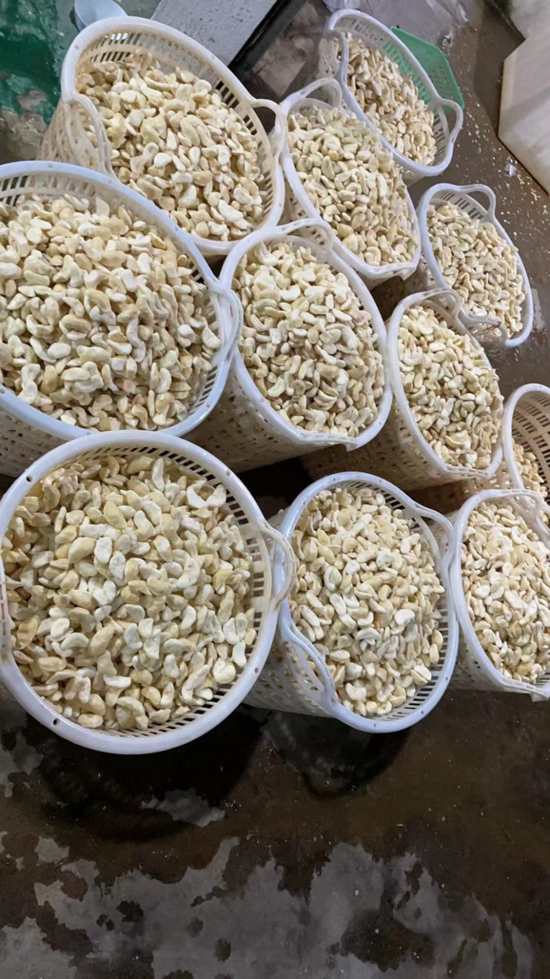 菱角新鲜二青菱角皮薄肉厚鲜甜可口*主要粉糯
