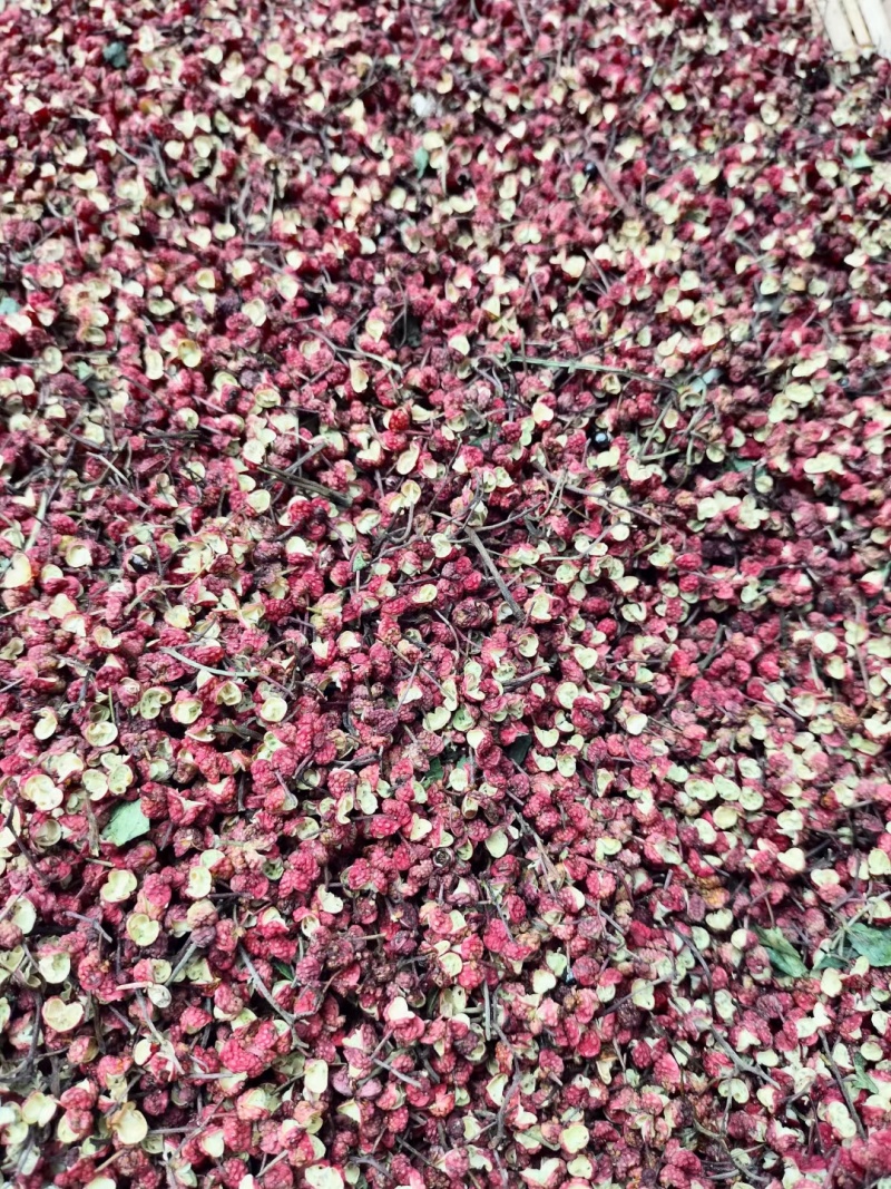 四川花椒大红袍花椒今年新货茂汶花椒货源充足量大从优