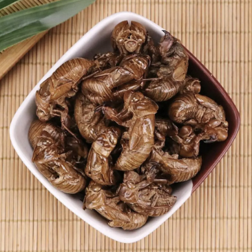 蝉蜕精品原产地直供货源充足保障