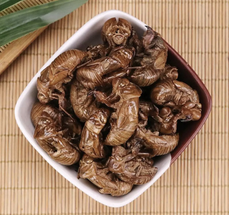 蝉蜕精品原产地直供货源充足保障