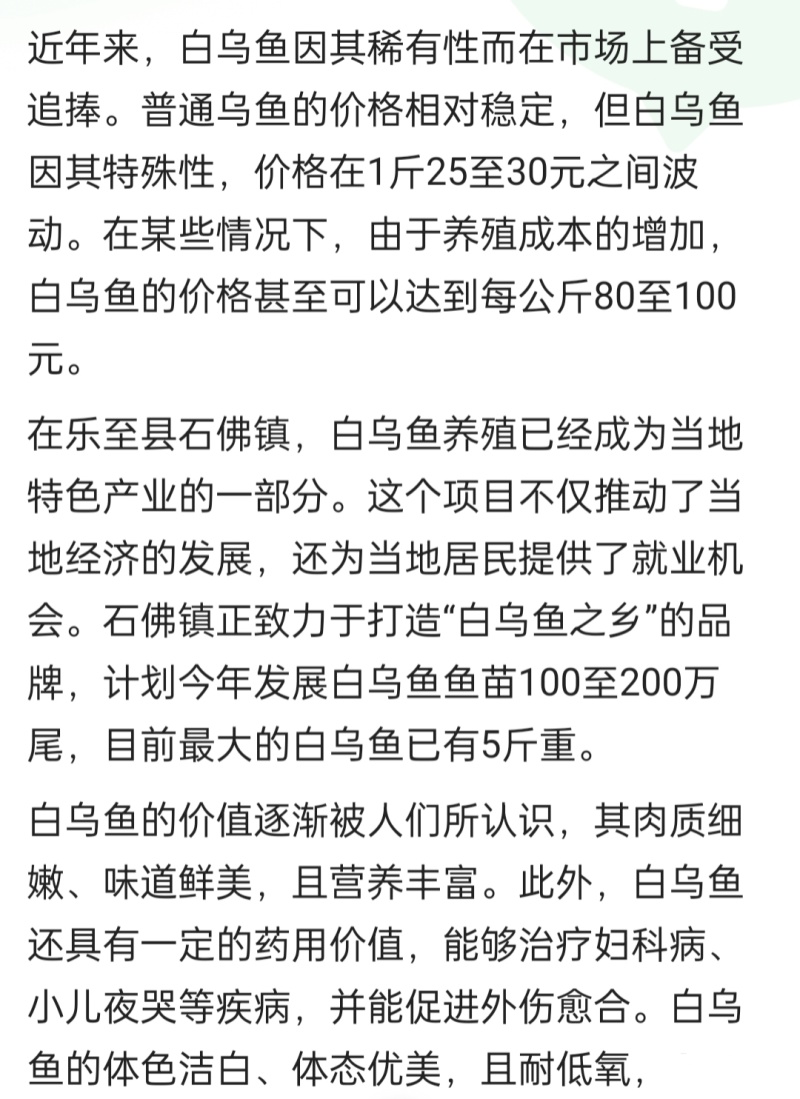 白乌鱼苗抗病能力强成活率高基地直销包送到家