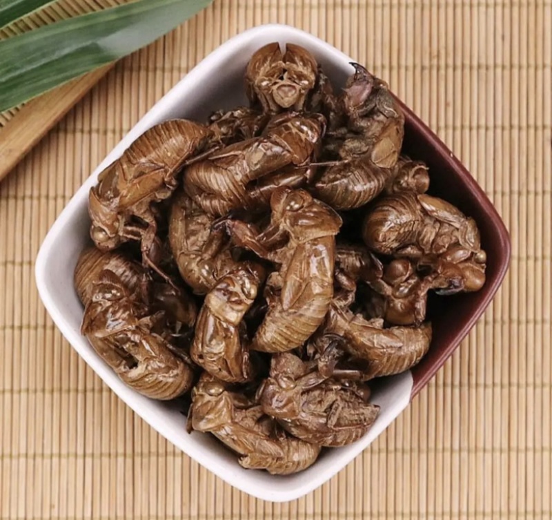 蝉蜕精品原产地直供货源充足保障