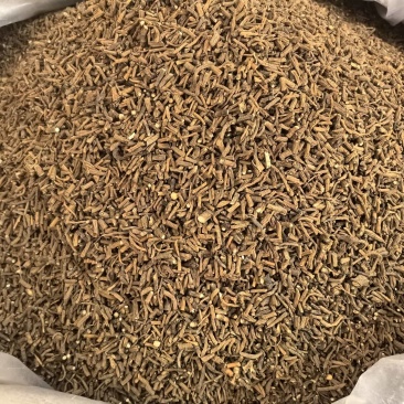 柴胡藏柴胡多种规格有货供应七彩百草中药材批发
