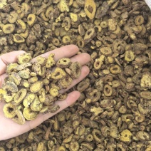 黄芩枯芩多种规格大货供应七彩百草中药材批发