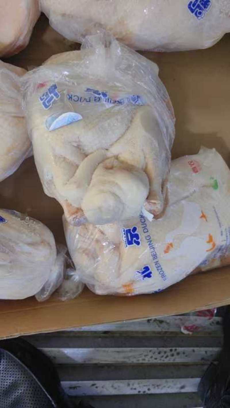 白条鸭厂家新货规格齐全价格低可以视频看货