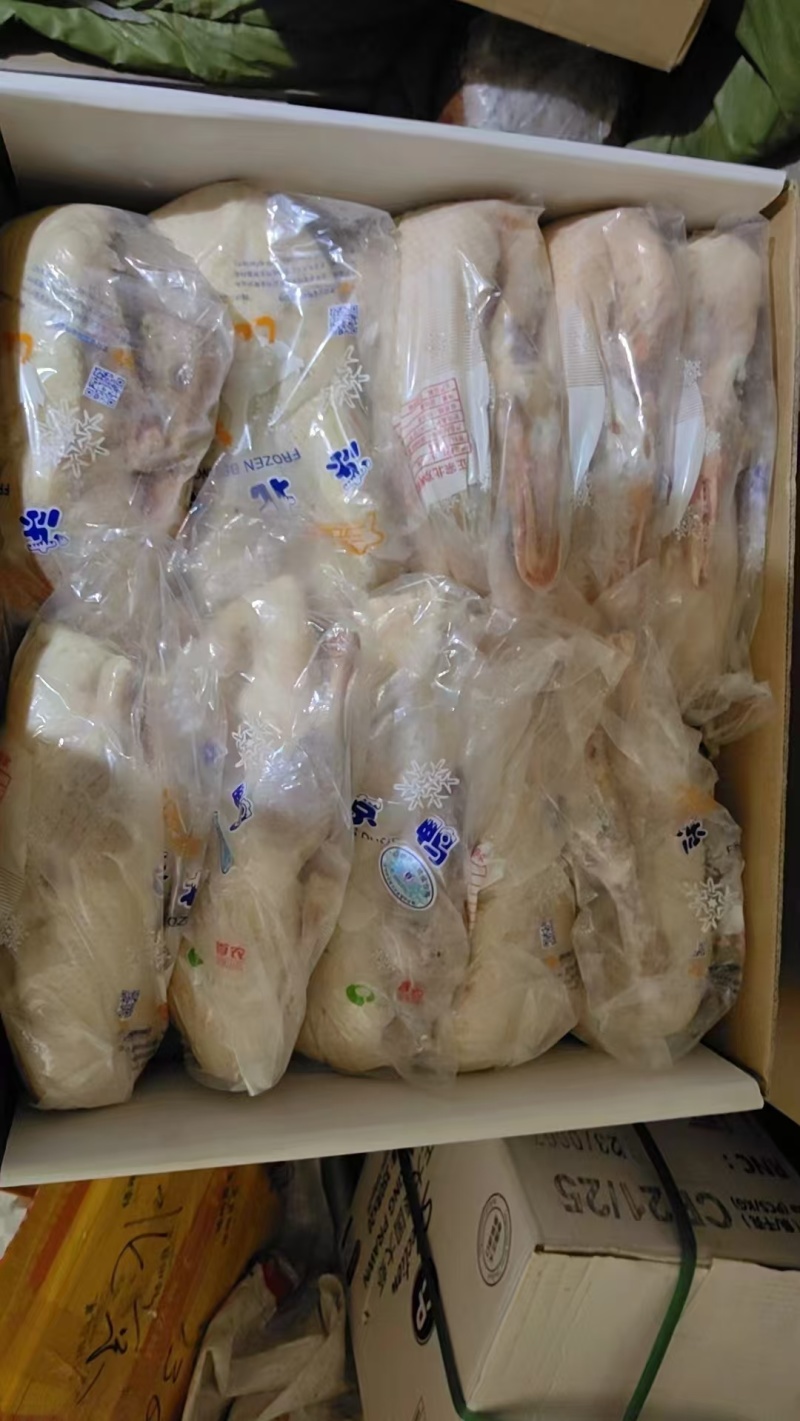 白条鸭厂家新货规格齐全价格低可以视频看货