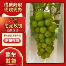 葡萄/桂林葡萄/广西葡萄/阳光玫瑰/自家种植欢迎来电