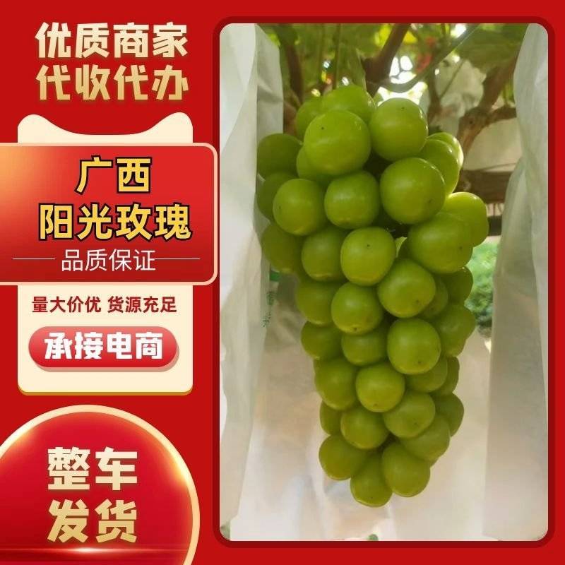 葡萄/桂林葡萄/广西葡萄/阳光玫瑰/自家种植欢迎来电