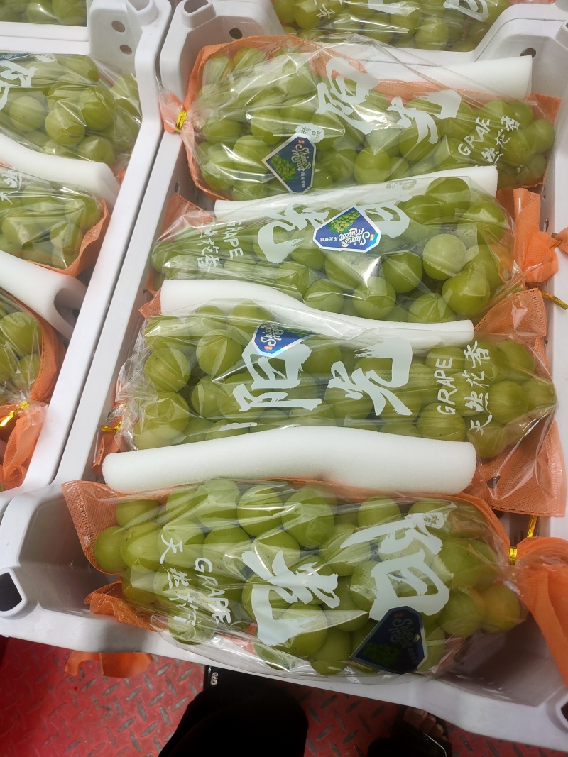 葡萄/桂林葡萄/广西葡萄/阳光玫瑰/自家种植欢迎来电