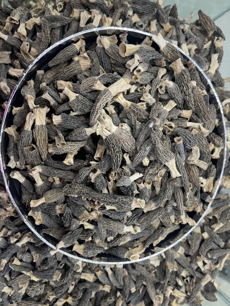 羊肚菌求收太多了，想出货