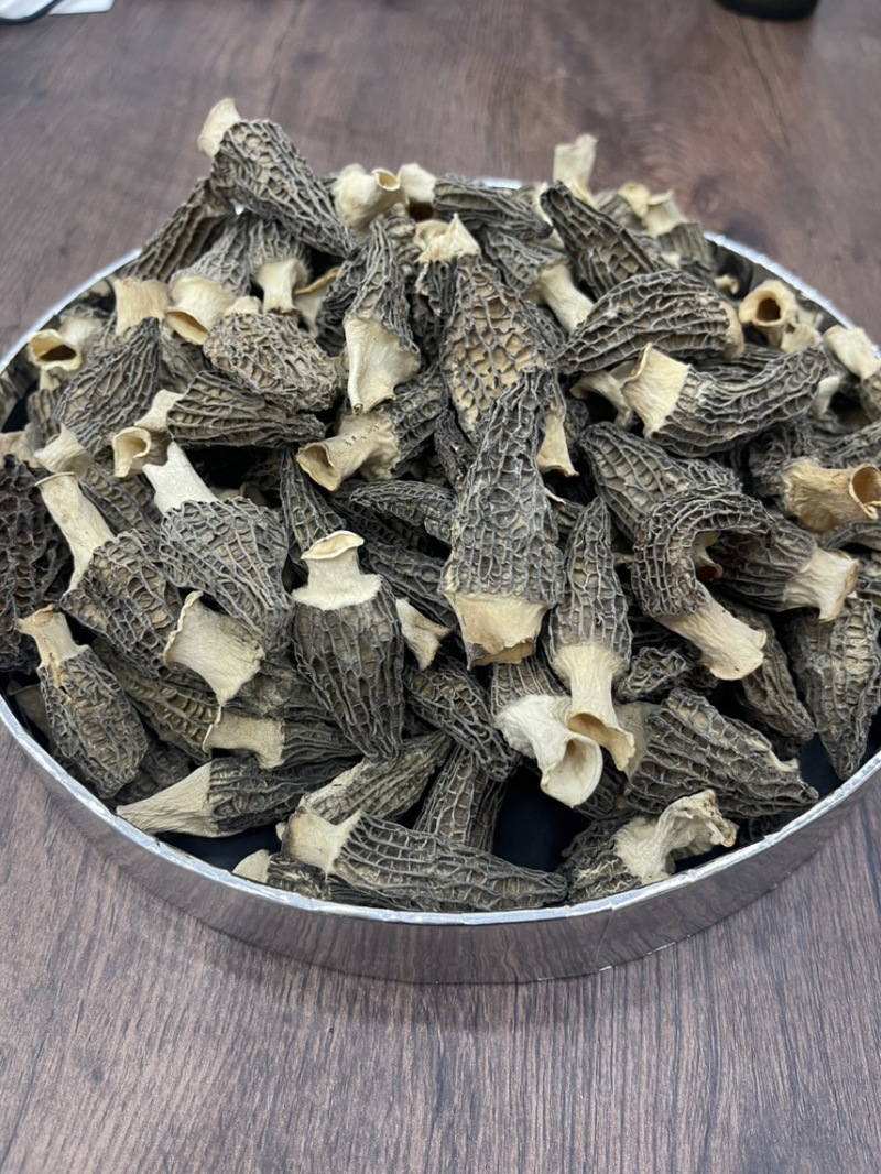 羊肚菌求收太多了，想出货